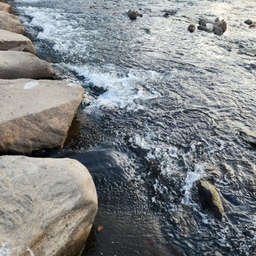 피드에 업로드 된 이미지