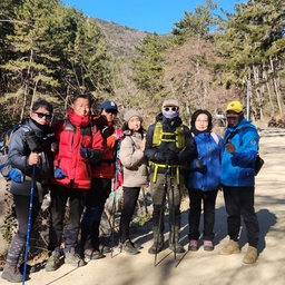 피드에 업로드 된 이미지