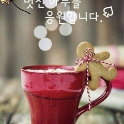 피드에 업로드 된 이미지