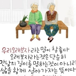 피드에 업로드 된 이미지