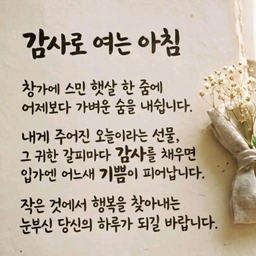 피드에 업로드 된 이미지