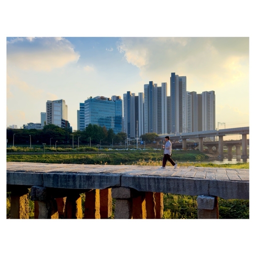 피드 이미지