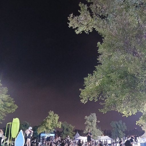 피드 이미지