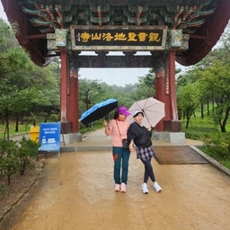 피드에 업로드 된 이미지