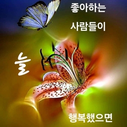 ํผ๋์ ์
๋ก๋ ๋ ์ด๋ฏธ์ง