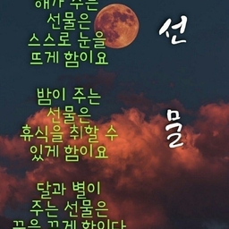 피드에 업로드 된 이미지