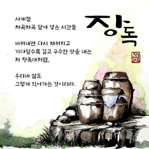 피드 이미지