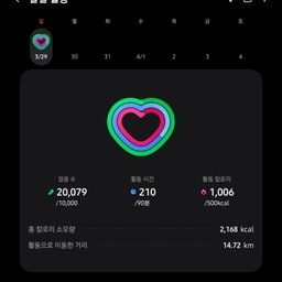 피드에 업로드 된 이미지