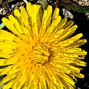 피드 작성자 프로필