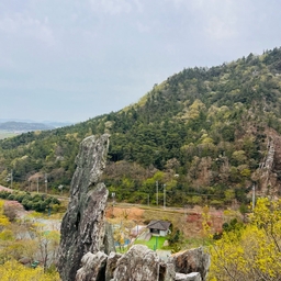 피드에 업로드 된 이미지