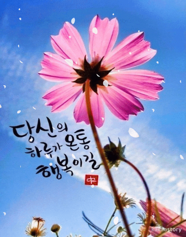 피드에 업로드 된 이미지