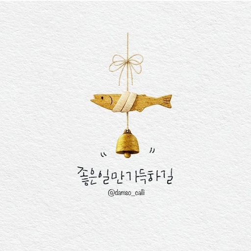 피드 이미지