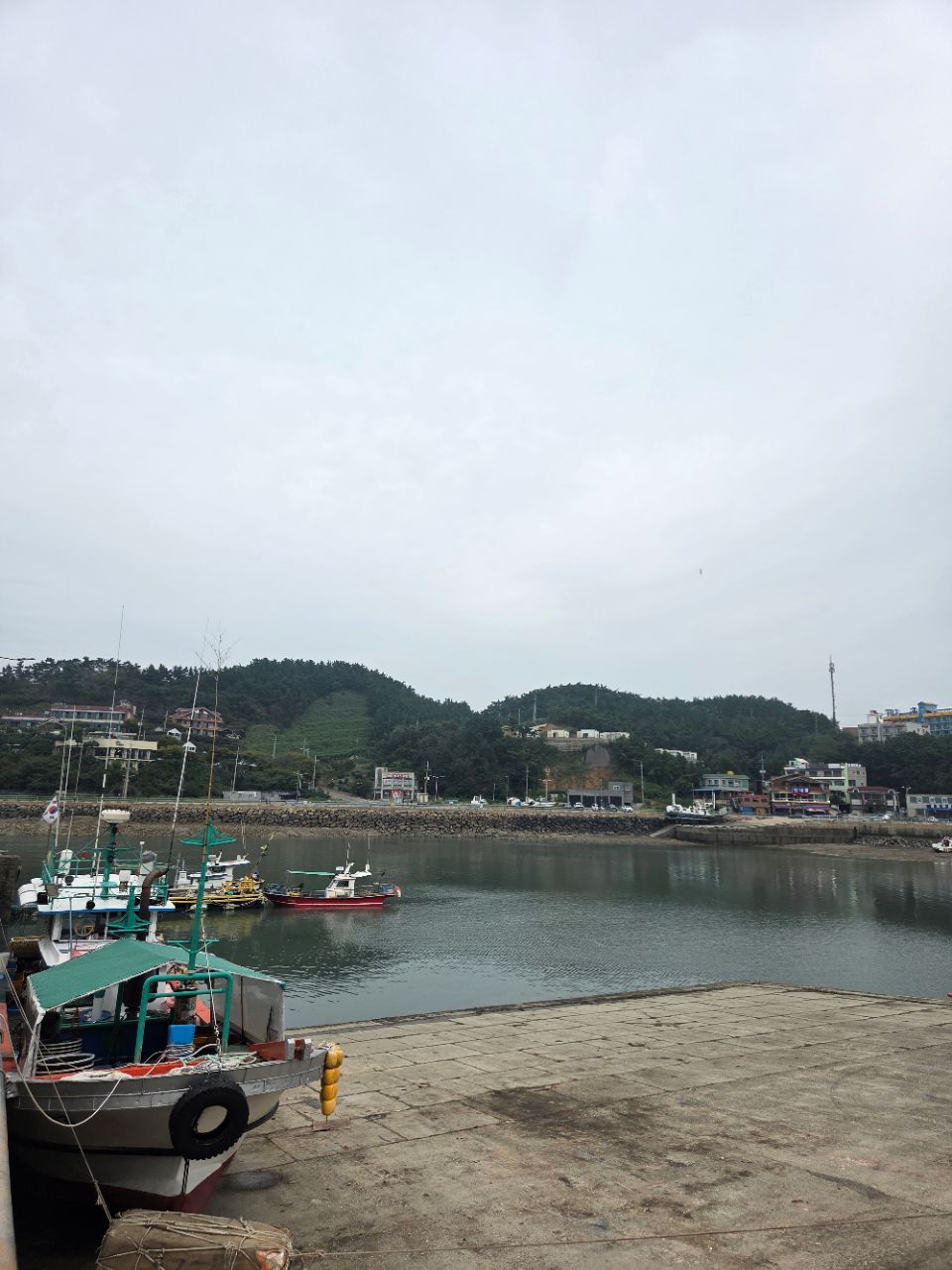 피드 이미지