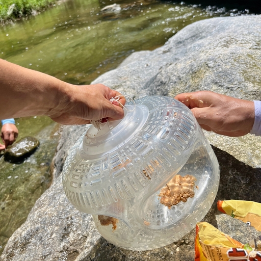 ํผ๋ ์ด๋ฏธ์ง