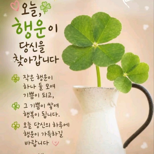 피드 이미지