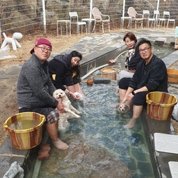 피드에 업로드 된 이미지