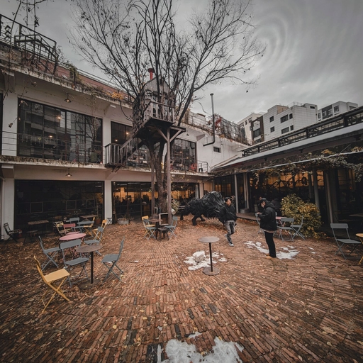 피드 이미지