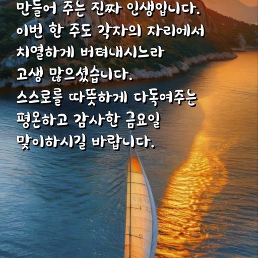 피드 이미지