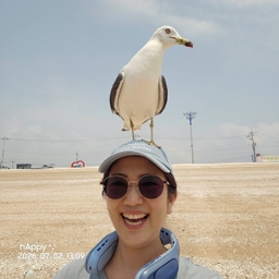 피드에 업로드 된 이미지