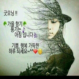 피드에 업로드 된 이미지