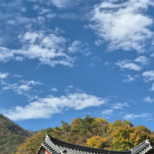 피드 이미지