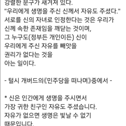 피드에 업로드 된 이미지