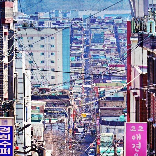 피드 이미지