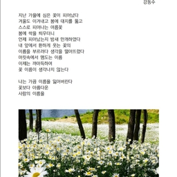 피드에 업로드 된 이미지
