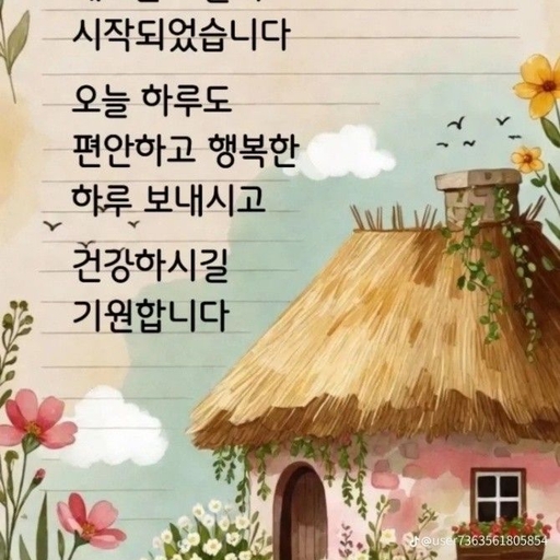 피드 이미지