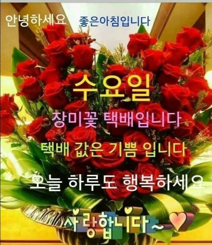피드에 업로드 된 이미지