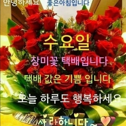 피드에 업로드 된 이미지