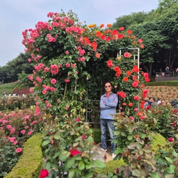 피드에 업로드 된 이미지