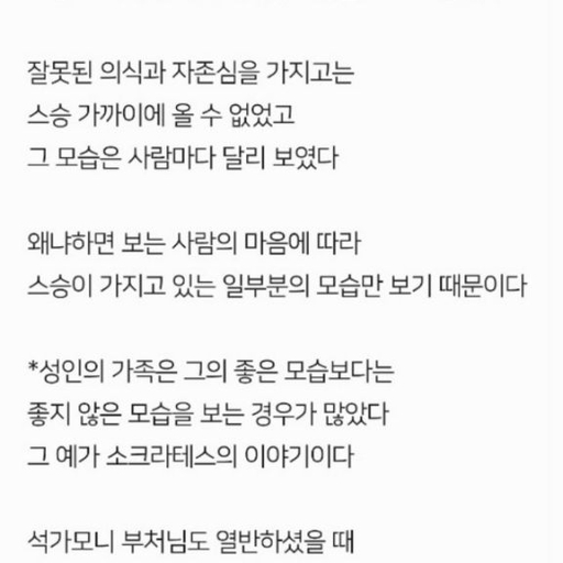 피드 이미지