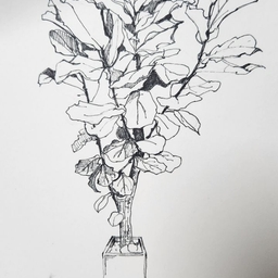 피드에 업로드 된 이미지