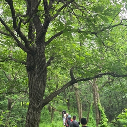 피드에 업로드 된 이미지