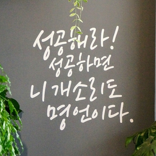 피드 이미지
