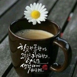 피드에 업로드 된 이미지