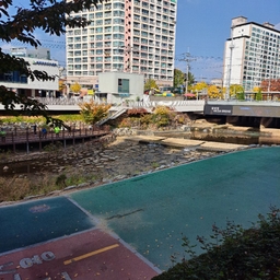 피드에 업로드 된 이미지