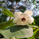 멤버 프로필