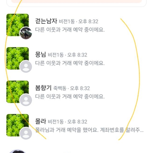 피드 이미지