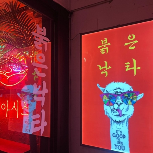피드 이미지