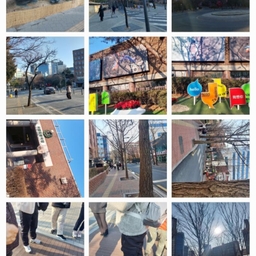 피드에 업로드 된 이미지