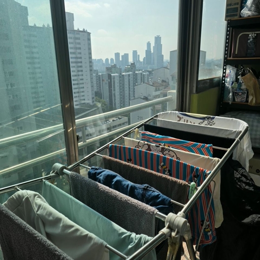 피드 이미지