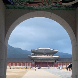 피드에 업로드 된 이미지