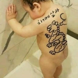 피드에 업로드 된 이미지