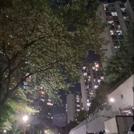 피드 이미지