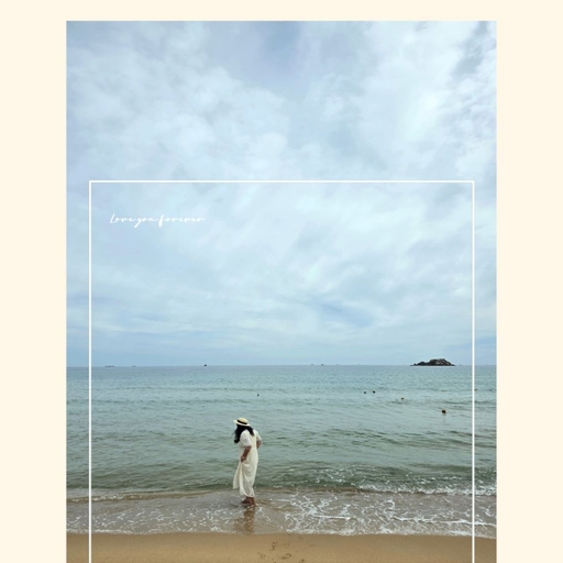 피드 이미지