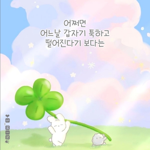 피드 이미지