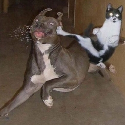 피드에 업로드 된 이미지