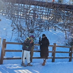 피드에 업로드 된 이미지